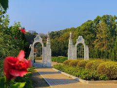 -南沙蒲洲花园