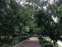 -怡海公园(桂城街道)