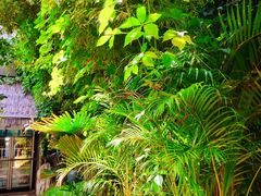 -陈熹公民族美食文化餐厅(中华广场店)