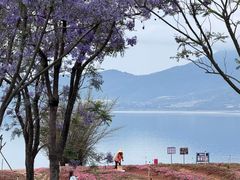 -抚仙湖禄充风景区