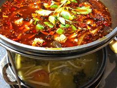 水煮乌鱼花-重庆乌鱼庄·龙滋鲜(青羊大道店)