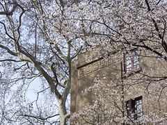 -武汉大学-樱园