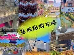 -荷兰花海