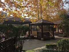 -春晖园度假酒店温泉