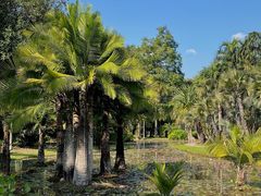-中国科学院西双版纳热带植物园