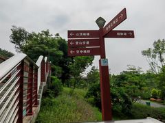 -王借岗森林公园