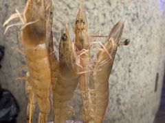 -老城鲜·小海鲜贝贝煲火锅(壹方城店)