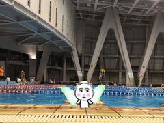 -福田体育公园游泳馆