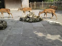-金沙遗址博物馆
