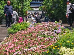 -杭州花家山庄