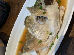 -莫山小馆(大石桥店)