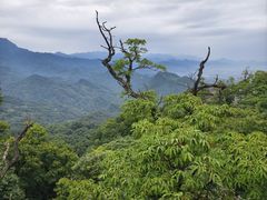 -青城山