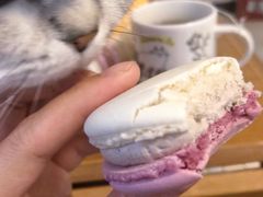 -麦当劳(百利广场店)