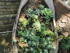 -慢丽江·云南野生菌土鸡锅(西山店)