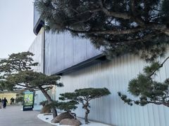 -罗红摄影艺术馆