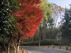 -宝界山林公园