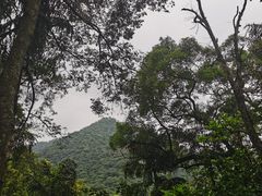 -鼎湖山风景区
