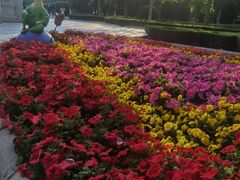 -北京世界公园