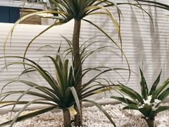 -兰湘子·湘菜小炒(崂山丽达店)