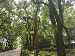 -共青国家森林公园-售票处