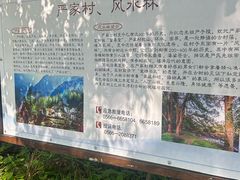 -石台牯牛降景区