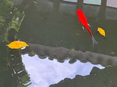 -东山雕花楼