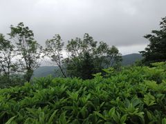 -阳台山森林公园