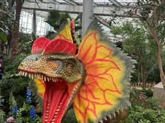 -沈阳植物园