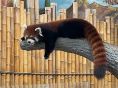 -石家庄市动物园