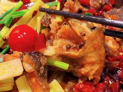 -老板恋上鱼(恒隆广场店)