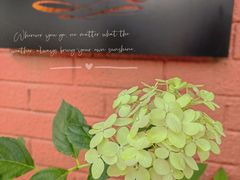 -萤火虫咖啡(后海店)