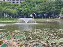 -映月湖公园