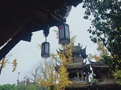 -黄龙溪古镇