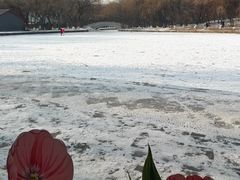 -北陵公园