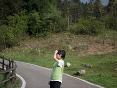 -武陵山森林公园