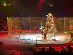 -珠海横琴长隆《卡卡虎奇遇记》