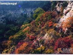 -原山国家森林公园