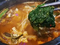 -青松馆韩国料理(香港中路佳世客店)