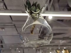 -% Arabica阿拉比卡咖啡(前滩太古里店)