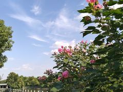 -美兰湖景区