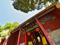 -少华山国家森林公园