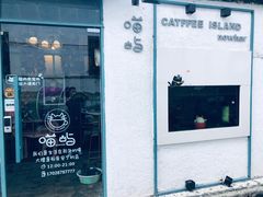 -喵屿·大理花园猫咖