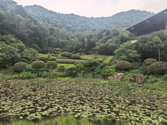 -桃花岭景区