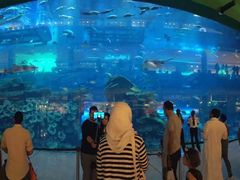 -迪拜水族馆及水下动物园