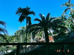 -蜈支洲岛珊瑚酒店临海阁中餐厅