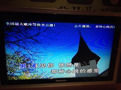 高明骏vs陈艾媚-那种心跳的感觉-环球梦主题KTV(曲阳生活购物中心店)