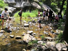 -碓臼峪自然风景区