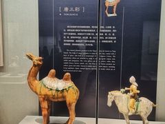 -镇江博物馆