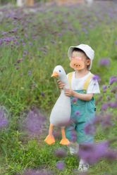 -DORA kids 朵拉儿童摄影花园店