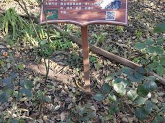 -草根堂农场